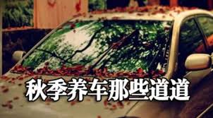 秋季車(chē)輛蓄電池保養(yǎng)之道